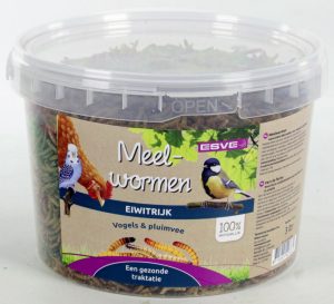 Meelwormen emmer ESVE