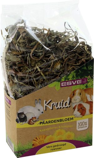 Kruid Paardenbloem
