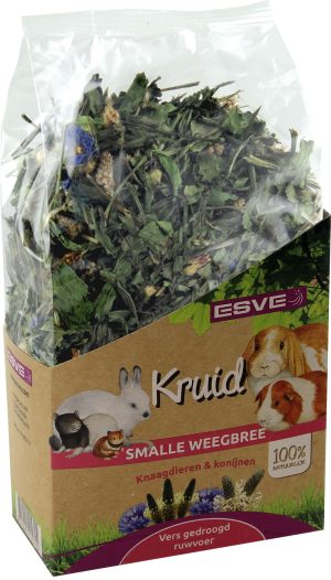 Kruid Smalle Weegbree