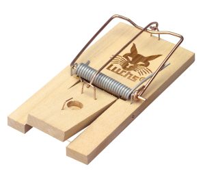 Rattenval Klem Hout
