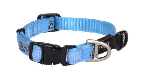 Fancy Dress Halsband S Paw Turquoise