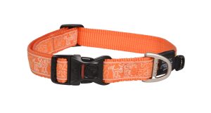 Fancy Dress Halsband L Orange Doodle-Orange