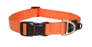 Utility Halsband XL Oranje