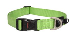 Utility Halsband XL Lime