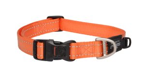 Utility Halsband L Oranje