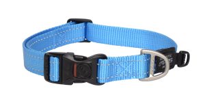 Utility Halsband L Turquoise