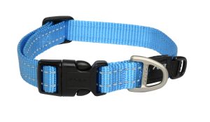 Utility Halsband M Turquoise
