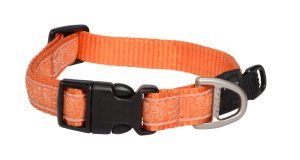Fancy Dress Halsband M Orange Doodle-Orange