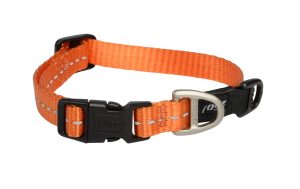 Utility Halsband S Oranje