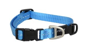 Utility Halsband S Turquoise