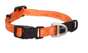 Alpinist Halsband S Oranje