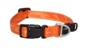Alpinist Halsband M Oranje