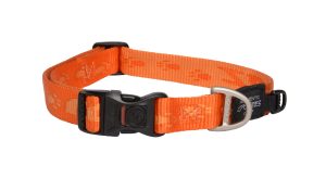 Alpinist Halsband L Oranje