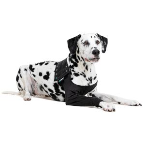 Recovery Sleeve Zwart XXLarge