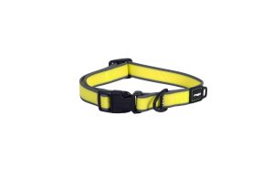 Amphibian Halsband M Geel